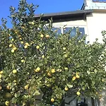 Bed & Breakfast Ethnohotel Rosa Dei Venti