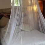 Bed & Breakfast Ethnohotel Rosa Dei Venti *