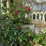 Bed & Breakfast Ethnohotel Rosa Dei Venti *