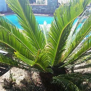 Ethnohotel Rosa Dei Venti *