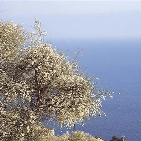 Ethnohotel Rosa Dei Venti