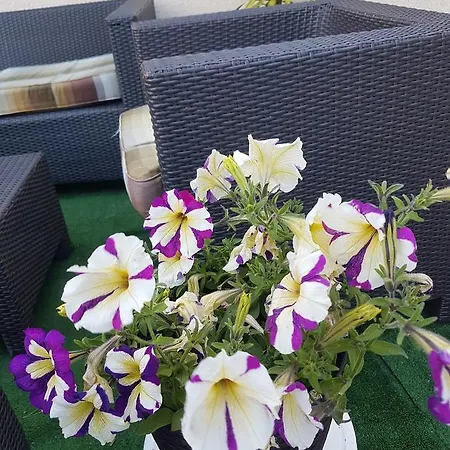 Ethnohotel Rosa Dei Venti Couette-café