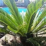 Ethnohotel Rosa Dei Venti *