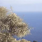 Ethnohotel Rosa Dei Venti