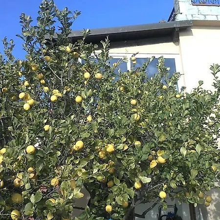 Bed & Breakfast Ethnohotel Rosa Dei Venti