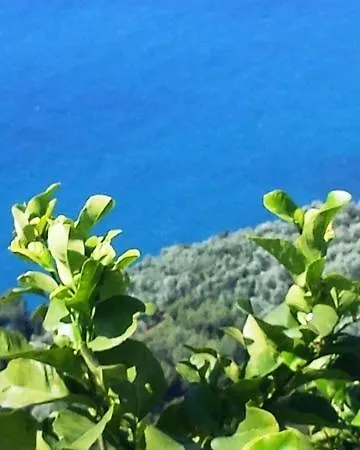 Bed & Breakfast Ethnohotel Rosa Dei Venti *