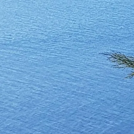 Ethnohotel Rosa Dei Venti * インペリア