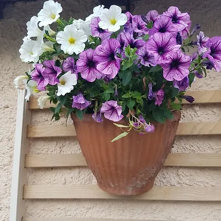 Ethnohotel Rosa Dei Venti * インペリア