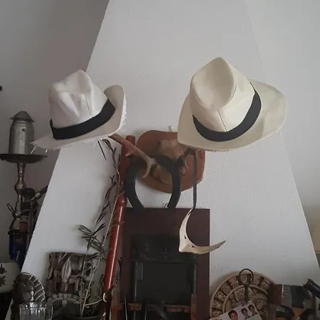 ベッド・アンド・ブレックファスト Ethnohotel Rosa Dei Venti インペリア