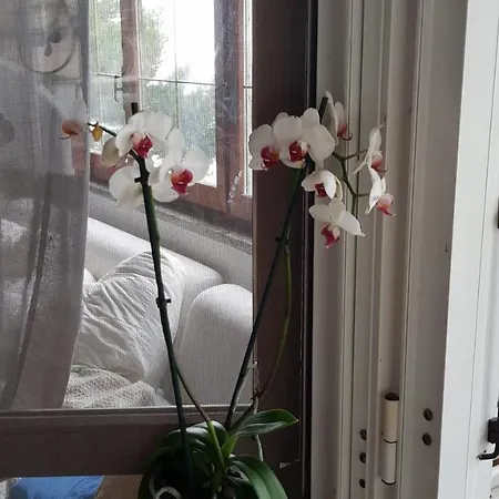 Ethnohotel Rosa Dei Venti * インペリア