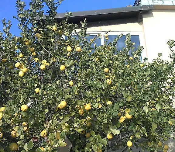 Bed & Breakfast Ethnohotel Rosa Dei Venti