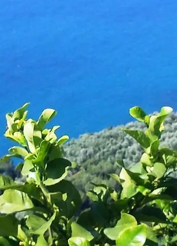 Bed & Breakfast Ethnohotel Rosa Dei Venti *