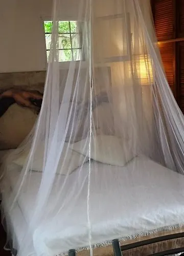 Bed & Breakfast Ethnohotel Rosa Dei Venti *