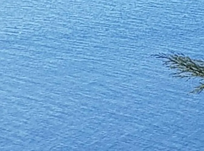 Ethnohotel Rosa Dei Venti * Imperia