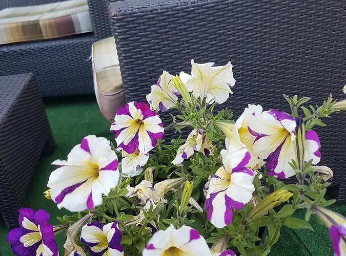 Ethnohotel Rosa Dei Venti Bed & Breakfast