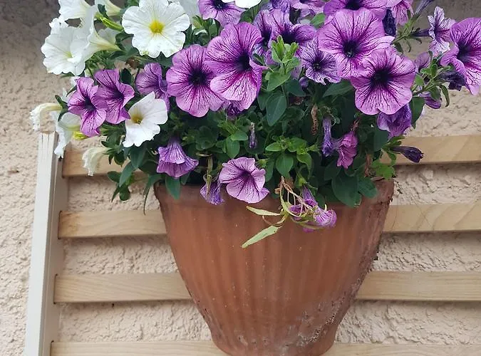 Ethnohotel Rosa Dei Venti * Imperia