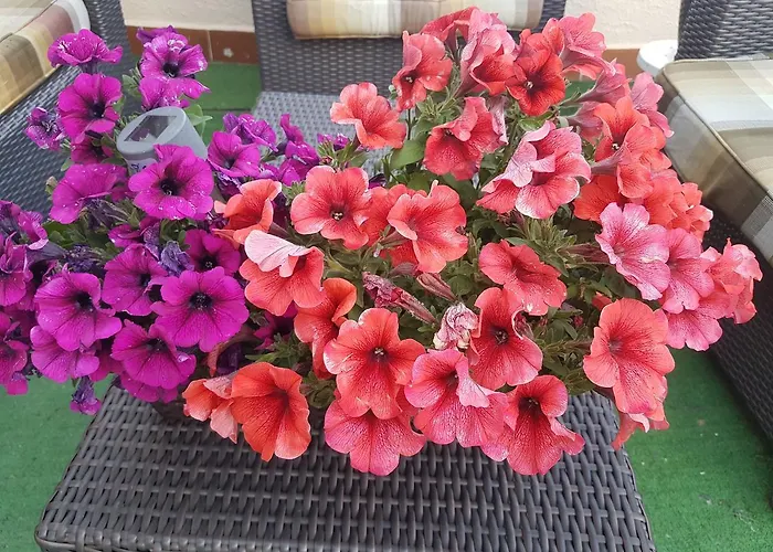 Bed & Breakfast Ethnohotel Rosa Dei Venti