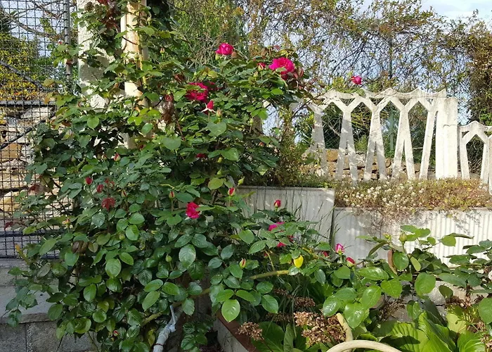 Bed & Breakfast Ethnohotel Rosa Dei Venti *